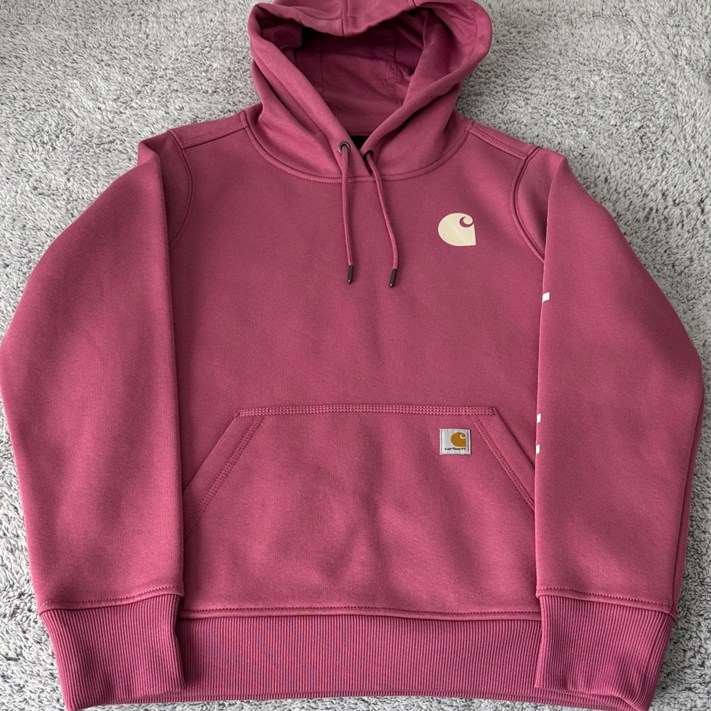 Carhartt Women’s Relaxed Fit Midweight Graphic Hooded Sweatshirt NWT